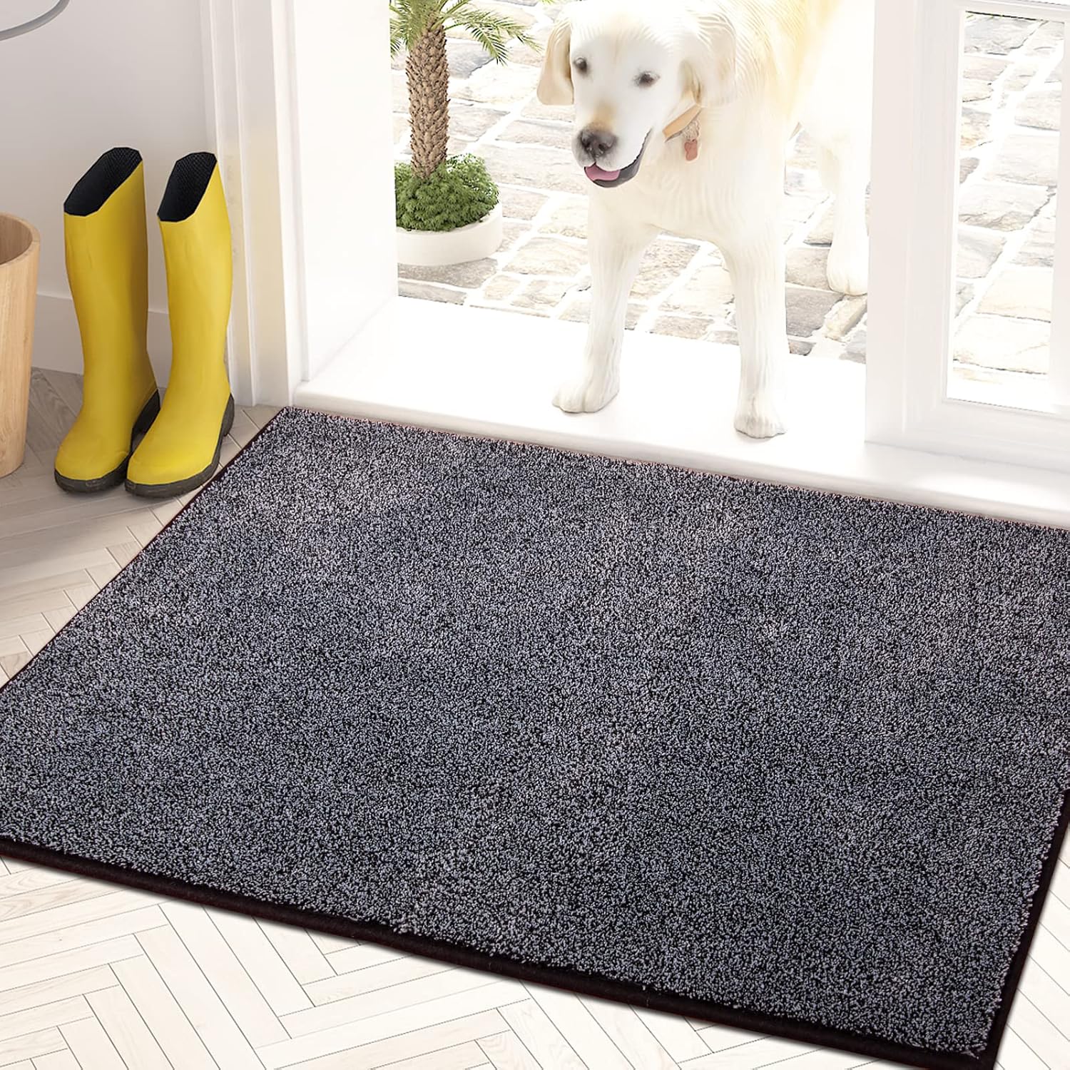 Dirt-Trapping and Absorbent Rug
