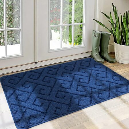 Absorbent Dirt-Trapping Rug